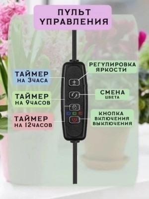 Артикул 21670897