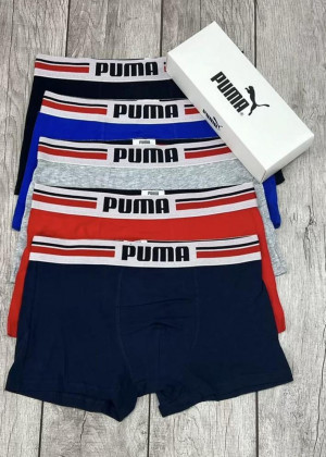 Трусы #22888977