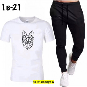 Спортивный костюм 22906737