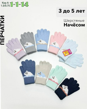 Перчатки #23081511