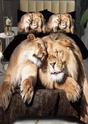 Постельное белье #23137362