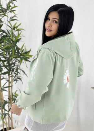 Ветровка #23149442