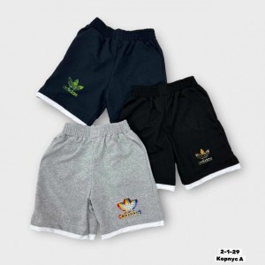 Шорты #23279540