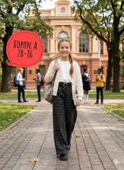 Брюки