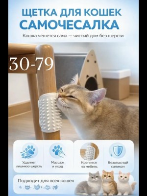 Расческа #23540029