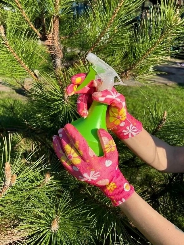 Перчатки 23020768