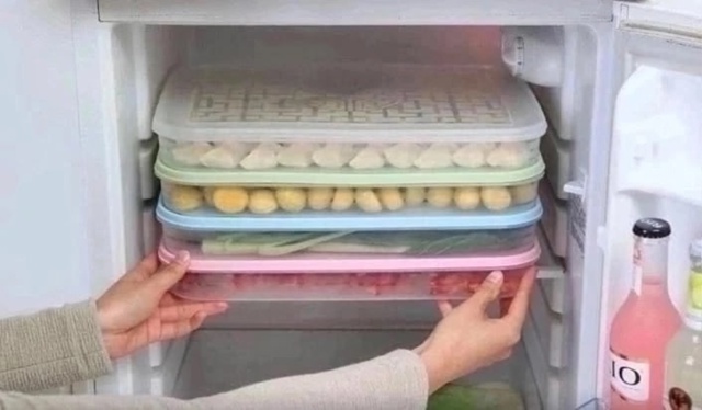 Контейнер для заморозки 23024139