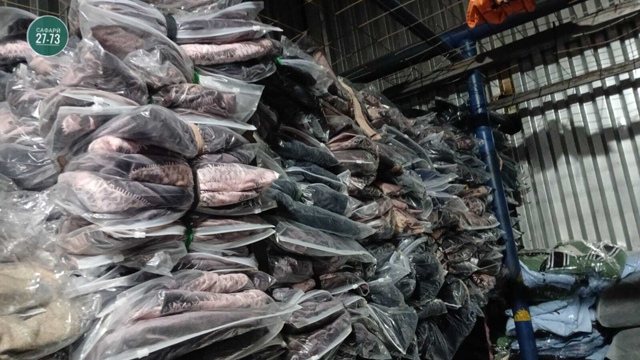 Пижама 23038412