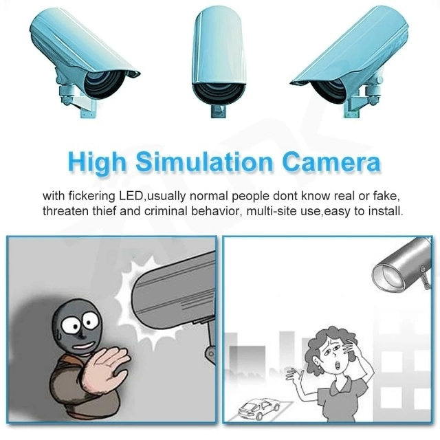 Камера муляж 23127926