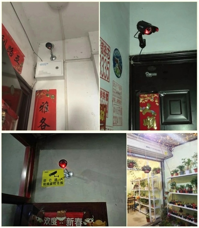 Камера муляж 23127926