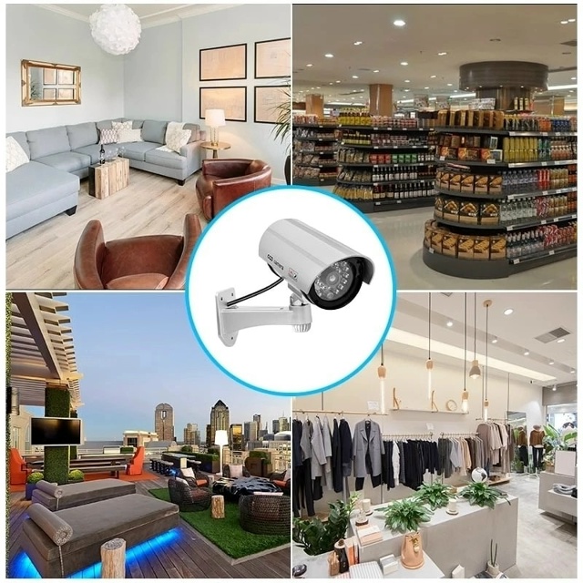 Камера муляж 23127926