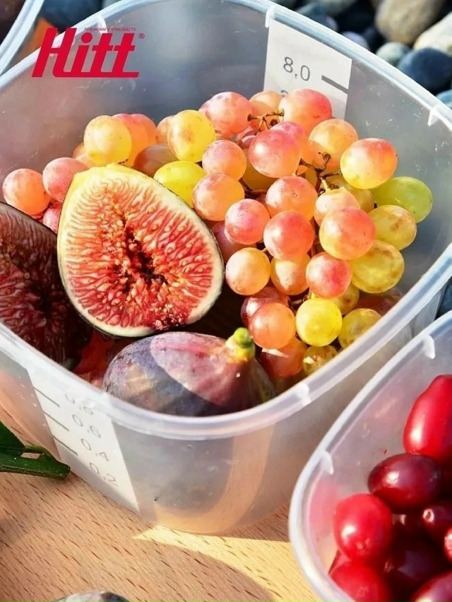 Набор контейнеров 23171061